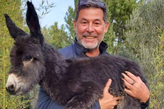 Cem Boyner Eşek Besliyor