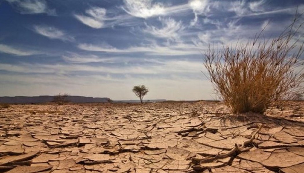 A 'State of Emergency' call for the climate