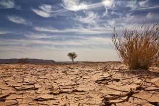 A 'State of Emergency' call for the climate