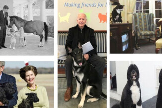 The animals of the White House return