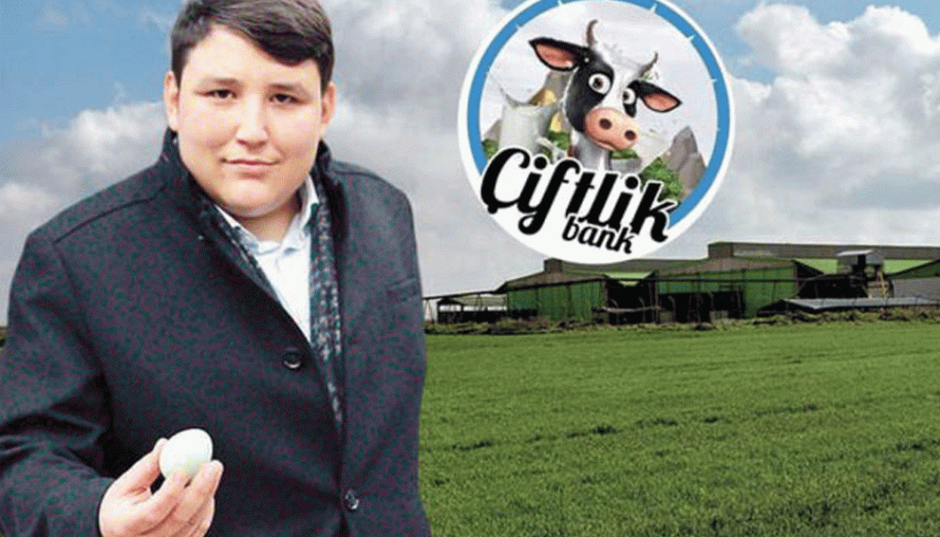 Farm Bank scandal is a series