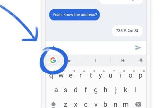 Google, Gboard’da dinamik renk temaları için yeni bir görünümü test ediyor