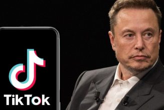 TikTok, ABD’de yasaklanmamak için Elon Musk’tan yardım istedi