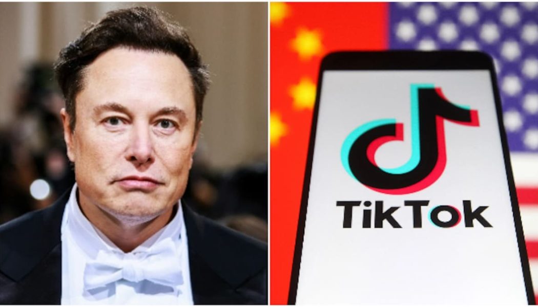 Elon Musk, TikTok’un ABD’deki şirketini satın alabilir