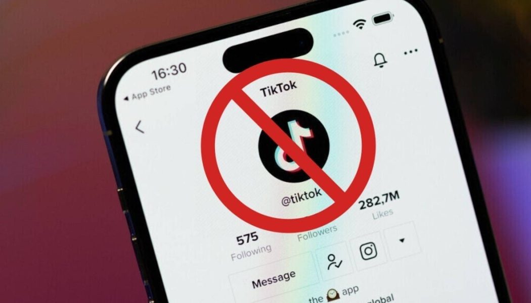 TikTok’un ABD’de yasaklanması diğer uygulamalara yaradı